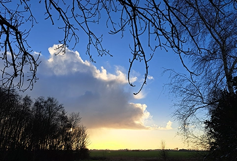 Reiki behandeling voor rust en stressvermindering